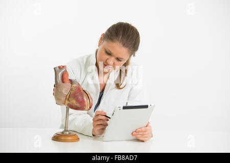 Jeune femme médecin travaille avec le modèle de coeur humain et tablet-PC Banque D'Images