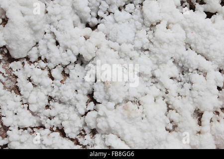 Le sel s'est formée dans un réseau de près de 3 000 salines à Salinas de Maras, région de Cuzco, Pérou Banque D'Images