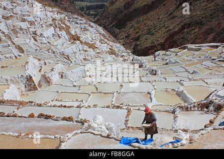 Salinas de Maras les étangs d'évaporation de sel le long des pentes du Qaqawiñay montagne, dans la vallée de l'Urumbamba, région de Cuzco, Pérou Banque D'Images