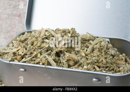 Bois de millepertuis (Artemisia absinthium) dans une boîte en étain Banque D'Images