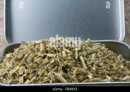 Bois de millepertuis (Artemisia absinthium) dans une boîte en étain Banque D'Images
