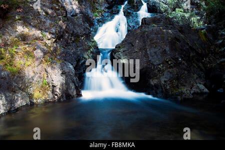 Todd Creek Cascades en été 2 marmites, parc provincial de l'île de Vancouver, C.-B. Banque D'Images