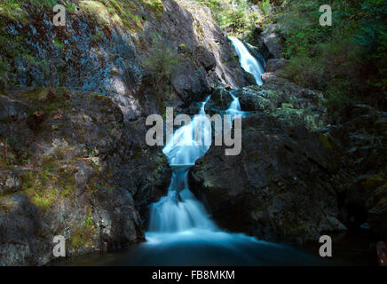 Todd Creek Cascades en été Banque D'Images