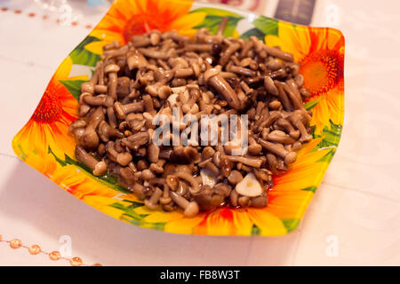 Petits champignons agarics miel dans un beau plat. Banque D'Images