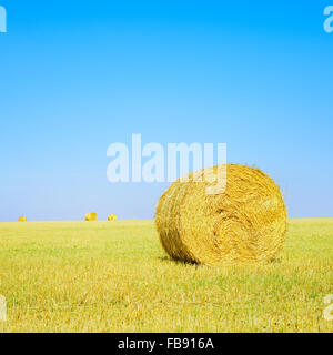 Rouleau de foin, ciel bleu et jaune en été sur le terrain. La toscane, italie Banque D'Images