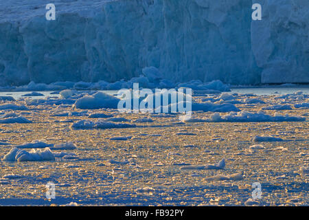 Les banquises vêlé de Lilliehöökbreen Lilliehöökfjorden glacier dérivant en direction de Krossfjorden, fjord, Spitsbergen, Svalbard Banque D'Images