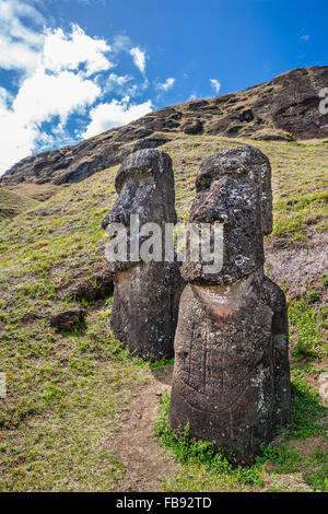 Le Chili, l'île de Pâques, Rapa Nui, moai généraux concernant les pentes du cratère du Rano Raraku Banque D'Images