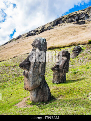Le Chili, l'île de Pâques, Rapa Nui, moai généraux concernant les pentes du cratère du Rano Raraku Banque D'Images