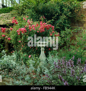 Un vieux cadran solaire en pierre en bordure de jardin avec fleurs bleues et roses roses grimpantes salvia Banque D'Images