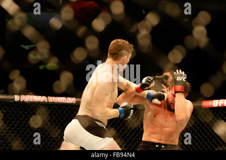 Nicolas Dalby vs Darren jusqu'à attirer la majorité des résultats. L'UFC Fight Night 76 Smolka-Dublin:Holohan vs à 3Arena le samedi 24 O Banque D'Images