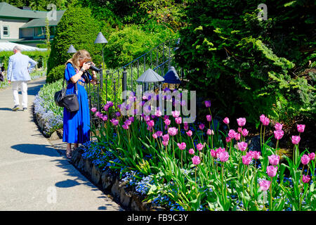 Les jardins Butchart Victoria British Columbia Canada Banque D'Images