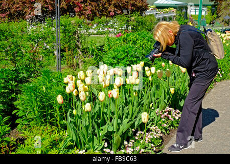 Les jardins Butchart Victoria British Columbia Canada Banque D'Images