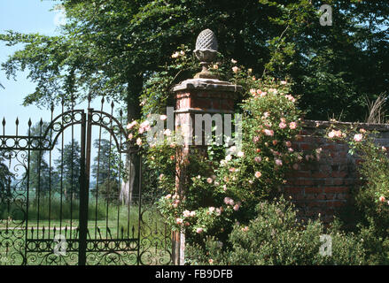 Portes en fer forgé décoré en grand jardin clos avec escalade rose roses sur mur et pilier en pierre avec un fleuron de sucette Banque D'Images