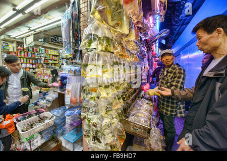 Des scènes du marché de poissons rouges à Mongkok, Hong Kong Banque D'Images