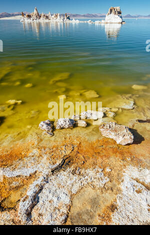 Les roches de carbonate de calcium, la ligne de rive du lac Mono en Californie du Sud, Tuf Banque D'Images