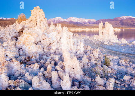 Rocher de tuf formations à l'tuf, lac Mono, en Californie, à l'Eastern Sierras dans l'arrière-plan Banque D'Images