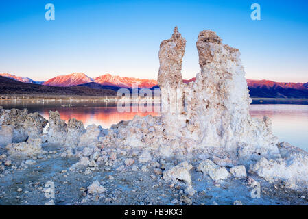 Rocher de tuf formations à l'tuf, lac Mono, en Californie, à l'Eastern Sierras dans l'arrière-plan Banque D'Images