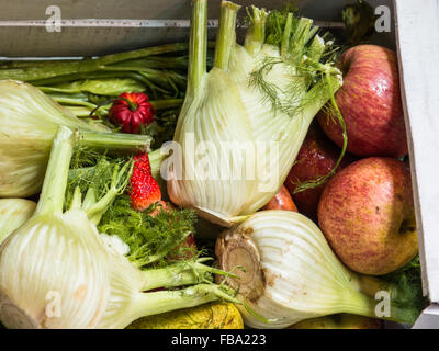 Fennels, Pommes et Autres Fruits et légumes frais variété en boîte en bois blanc Banque D'Images