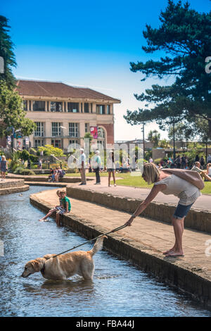 Vues générales de Bournemouth - un chien walker est presque tiré dans l'eau dans la basse Bourne Gardens UK Banque D'Images