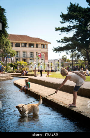 Vues générales de Bournemouth - un chien walker est presque tiré dans l'eau dans la basse Bourne Gardens UK Banque D'Images