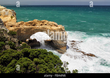 L'Arche, un rocher percé dans le Port Campbell National Park à la Great Ocean Road, à Victoria, en Australie. Banque D'Images