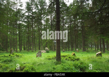 Neuf Stanes - près de Banchory, Aberdeenshire, Ecosse. Banque D'Images