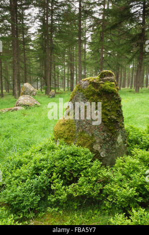 Neuf Stanes - près de Banchory, Aberdeenshire, Ecosse. Banque D'Images