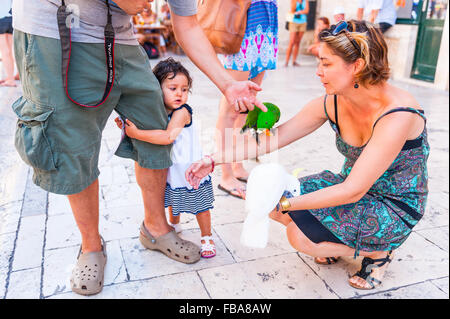 Une petite fille effrayée d'un perroquet dans la vieille ville de Dubrovnik, Croatie, Europe. Banque D'Images