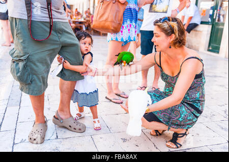 Une petite fille effrayée d'un perroquet dans la vieille ville de Dubrovnik, Croatie, Europe. Banque D'Images