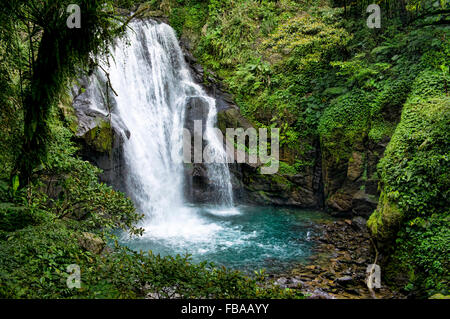 Cascade dans la vallée de Wulai, Taiwan Banque D'Images