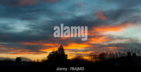 London, SW London, UK. 13 janvier, 2016. Vue panoramique des toits et des arbres silhouette sur un ciel orange au coucher du soleil que le temps devient plus froid. Credit : Malcolm Park editorial/Alamy Live News Banque D'Images