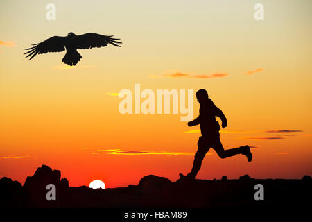 Un homme court sur éboulis rouge au coucher du soleil, Lake District, UK avec un corbeau. Banque D'Images