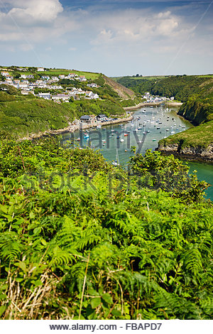 Port de Solva St Brides Bay au sud-ouest de Pembrokeshire Wales Cymru go uk Banque D'Images