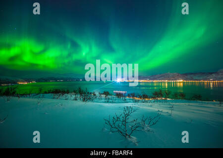 Aurore boréale au-dessus de Tromso, Norvège du Nord Banque D'Images