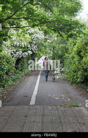 Femme portant un manteau tacheté chien marche le long sentier au printemps Banque D'Images