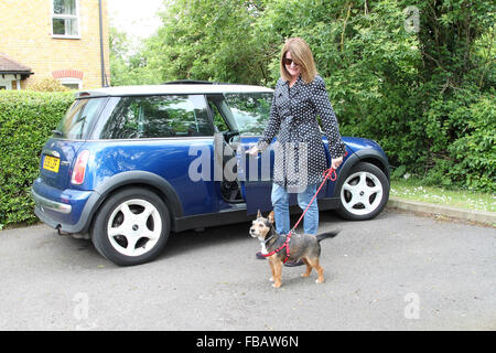 Femme portant un manteau tacheté avec petit chien à entraîner l'ouverture de porte de voiture Banque D'Images