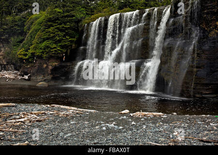 Colombie-britannique - Tsusiat tombe dans le sentier de la côte ouest du parc national Pacific Rim sur l'île de Vancouver. Banque D'Images