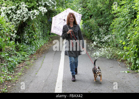 Femme avec parapluie wearing spotted dog le long sentier de marche imperméable au printemps Banque D'Images