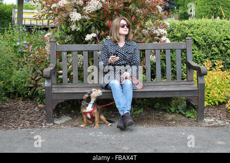 Femme assise sur le banc de parc avec un téléphone mobile et d'un petit chien Banque D'Images