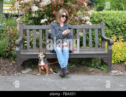 Woman sitting on park bench looking at mobile phone avec petit chien Banque D'Images