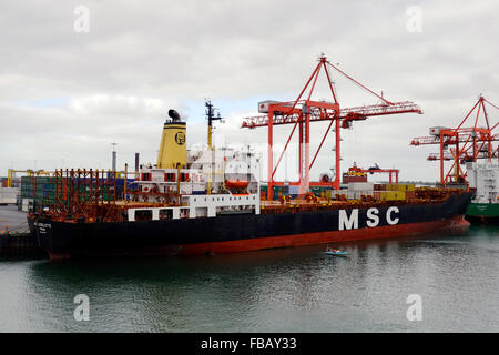 MSC Lieselotte cargo amarré dans le port de Dublin. Banque D'Images