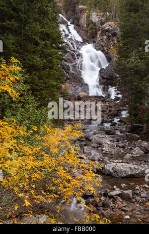 Mountain ash les feuilles jaunissent en automne comme Hidden Falls Parc National de Grand Teton, Wyoming s'écoule dans l'arrière-plan. Banque D'Images