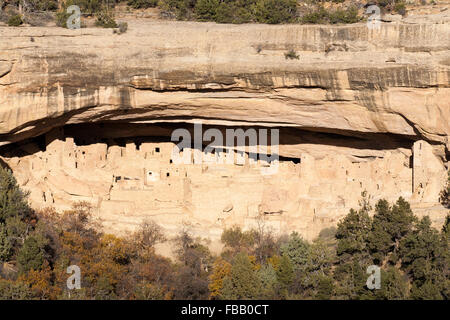 Une vue de Falaise Palace vu d'oublier à travers le canyon dans le Parc National de Mesa Verde, au Colorado. Banque D'Images