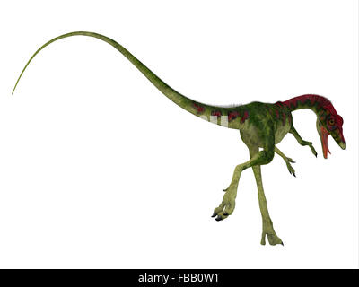 Compsognathus était un petit dinosaure théropode carnivore qui a vécu durant la période jurassique de l'Europe. Banque D'Images