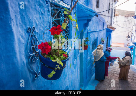 Pot de fleurs Chefchaouen Banque D'Images