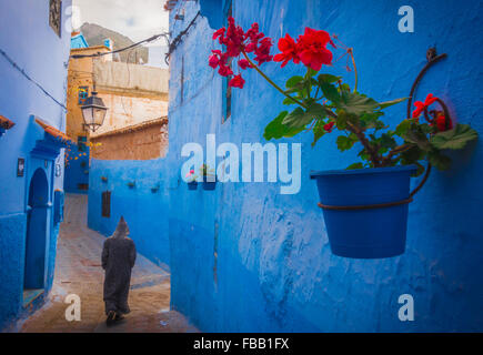 Pot de fleurs Chefchaouen Banque D'Images