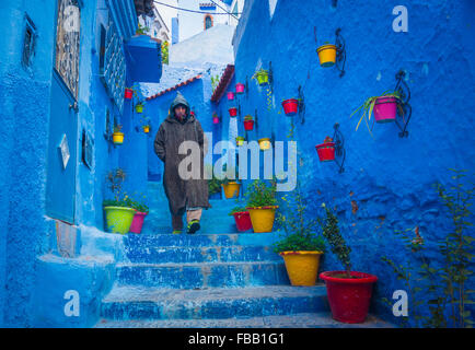 Les pots de fleurs, Maroc Chefchaouen Banque D'Images