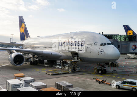 Un Airbus 380-800 de Lufthansa amarré à l'aéroport. Banque D'Images