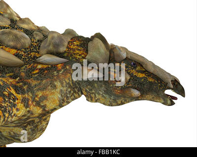 Gargoyleosaurus était un véhicule blindé de l'Ankylosaurus dinosaure herbivore qui a vécu dans l'âge jurassique du Wyoming, en Amérique du Nord. Banque D'Images