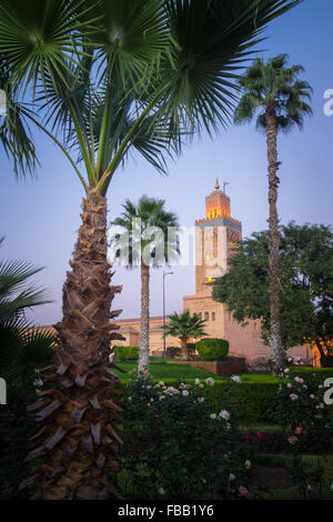 Mosquée de la Koutoubia au crépuscule, Marrakech Maroc Banque D'Images